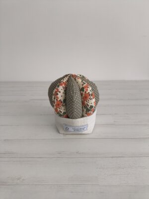Cactus bajo marrón