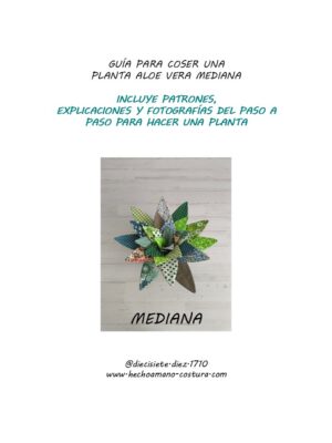 Guía planta aloe vera mediana