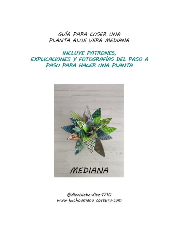 Guía planta aloe vera mediana