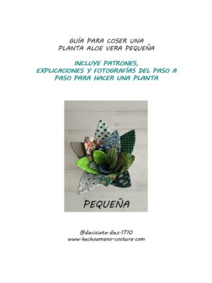 Guía planta aloe vera pequeña