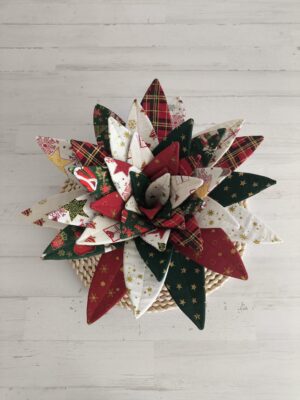 Aloe vera grande - Navidad