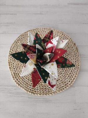 Aloe vera pequeño - Navidad