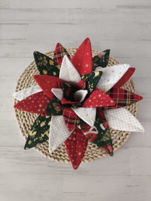 Aloe vera mediano - Navidad