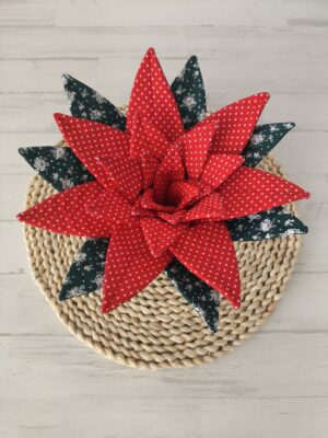 Aloe - Flor de Pascua