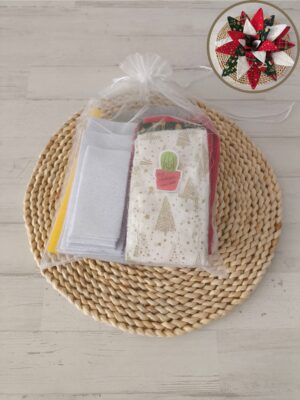 Kit aloe mediano Navidad