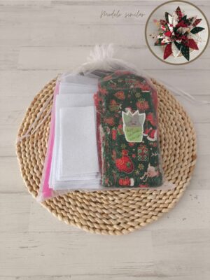 Kit aloe grande Navidad