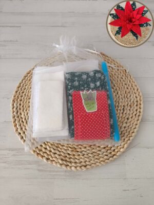 Kit aloe - Flor de Pascua