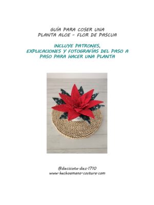 Guía aloe - flor de Pascua