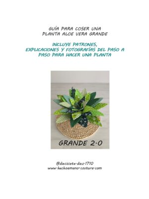 Guía planta aloe vera grande 2.0
