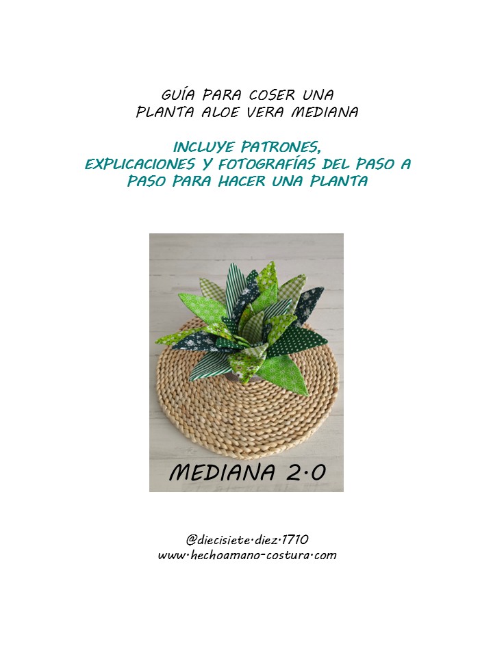 Guía planta aloe vera mediana 2.0