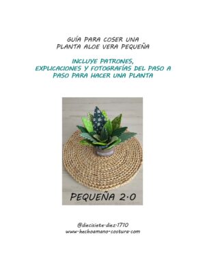 Guía planta aloe vera pequeña 2.0