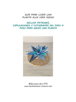 Guía aloe vera Índigo